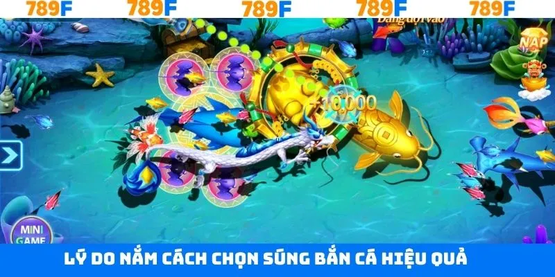 Vì sao nên biết cách chọn súng bắn cá hiệu quả