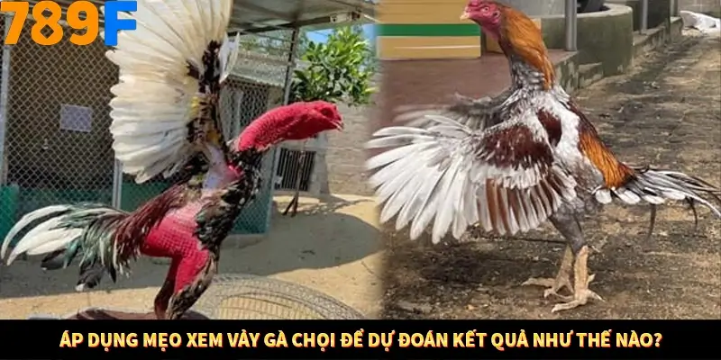Áp dụng mẹo xem tiền để mong đợi kết quả như thế nào?