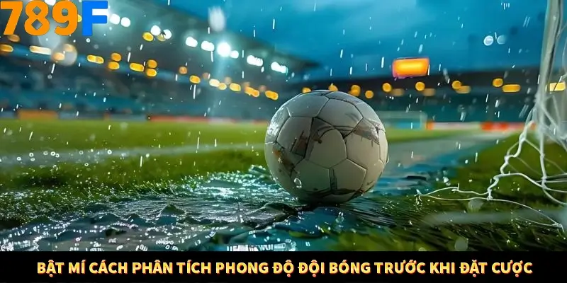 Bật mí cách phân tích phong độ đội bóng trước khi đặt cược
