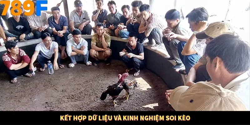 Nổ Hũ Online 789F Có Kiểm Soát Thuật Toán Không 9 Kết hợp dữ liệu và kinh nghiệm soi kèo