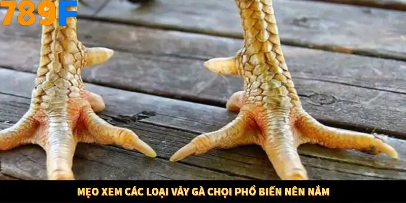 Mẹo xem các loại mã phổ biến.