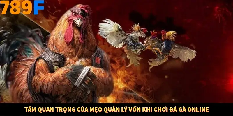 Nổ Hũ Online 789F Có Kiểm Soát Thuật Toán Không 7 Tầm quan trọng của mẹo quản lý vốn khi chơi đá gà online