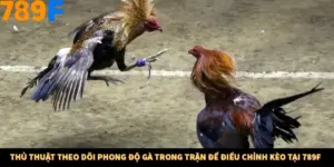 Thủ Thuật Theo Dõi Phong Độ Gà Trong Trận Để Điều Chỉnh Kèo Tại 789F