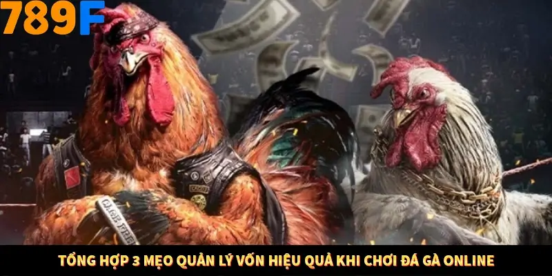 Nổ Hũ Online 789F Có Kiểm Soát Thuật Toán Không 8 Tổng hợp 3 mẹo quản lý vốn hiệu quả khi chơi đá gà online