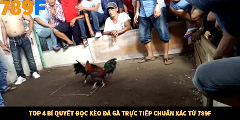 Nổ Hũ Online 789F Có Kiểm Soát Thuật Toán Không 8 Top 4 bí quyết đọc kèo đá gà trực tiếp chuẩn xác từ 789F