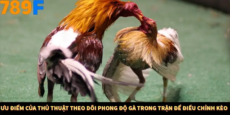 Ưu điểm của kỹ thuật theo dõi tốc độ gà trong trận để điều chỉnh