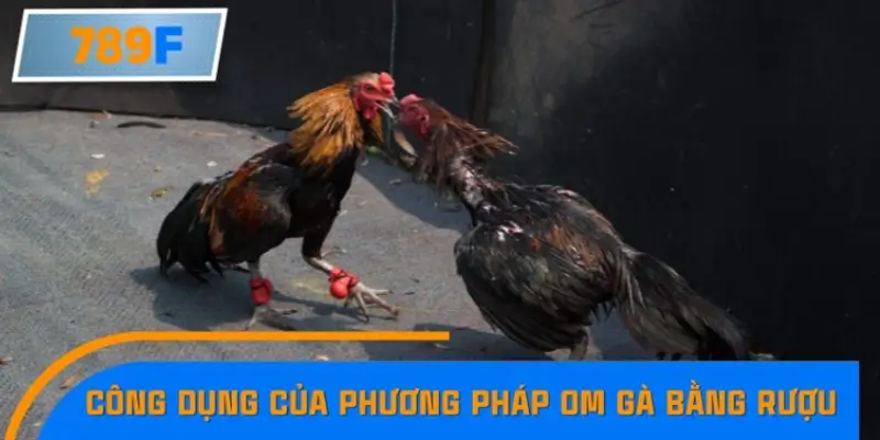 Công dụng của phương pháp om gà bằng rượu thuốc Công dụng của phương pháp om gà bằng rượu thuốc