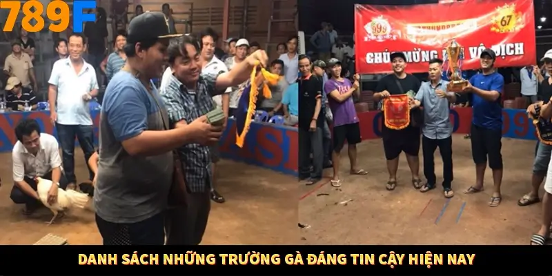 Bí Quyết Xếp Bài Phỏm Thành Dây Dài Tăng Tỷ Lệ Thắng Ở 789F 9 Danh sách những trường gà đáng tin cậy hiện nay