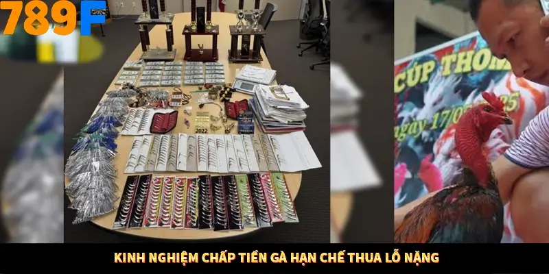 Bí Quyết Xếp Bài Phỏm Thành Dây Dài Tăng Tỷ Lệ Thắng Ở 789F 8 Kinh nghiệm chấp tiền gà hạn chế thua lỗ nặng