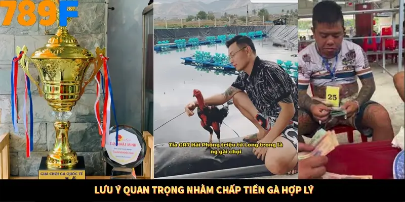 Bí Quyết Xếp Bài Phỏm Thành Dây Dài Tăng Tỷ Lệ Thắng Ở 789F 9 Lưu ý quan trọng nhằm chấp tiền gà hợp lý
