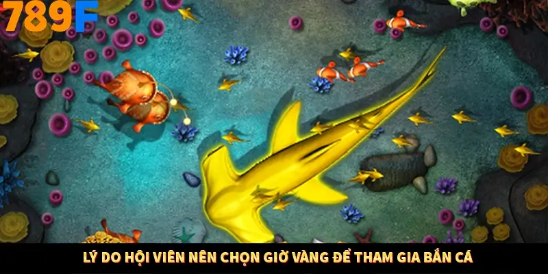 Lý do hội viên nên chọn giờ vàng để tham gia bắn cá