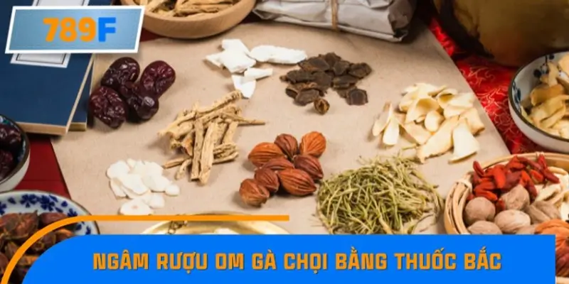 Ngâm rượu om gà chọi bằng thuốc Bắc Ngâm rượu om gà chọi bằng thuốc Bắc