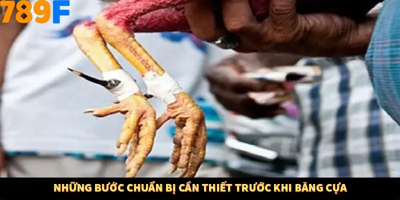 Những bước chuẩn bị cần thiết trước khi băng cựa Những bước chuẩn bị cần thiết trước khi băng cựa