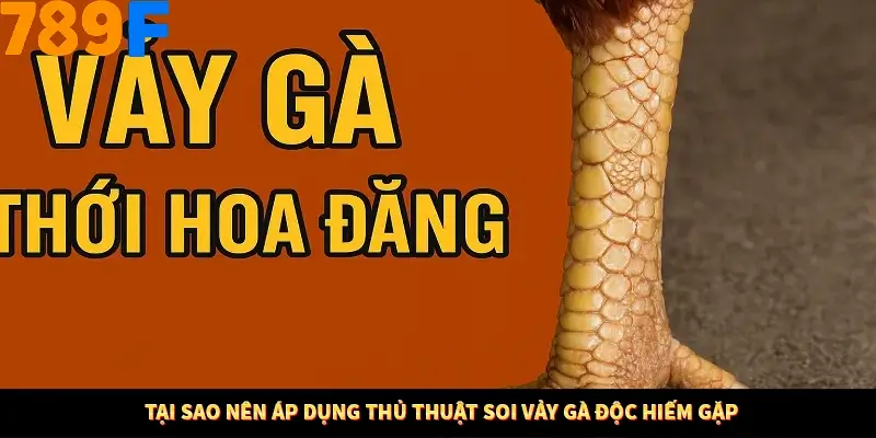 Tại sao nên áp dụng thủ thuật soi vảy gà độc hiếm gặp