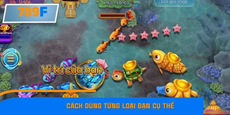 Cách chia đạn bắn cá tiết kiệm theo từng tình huống